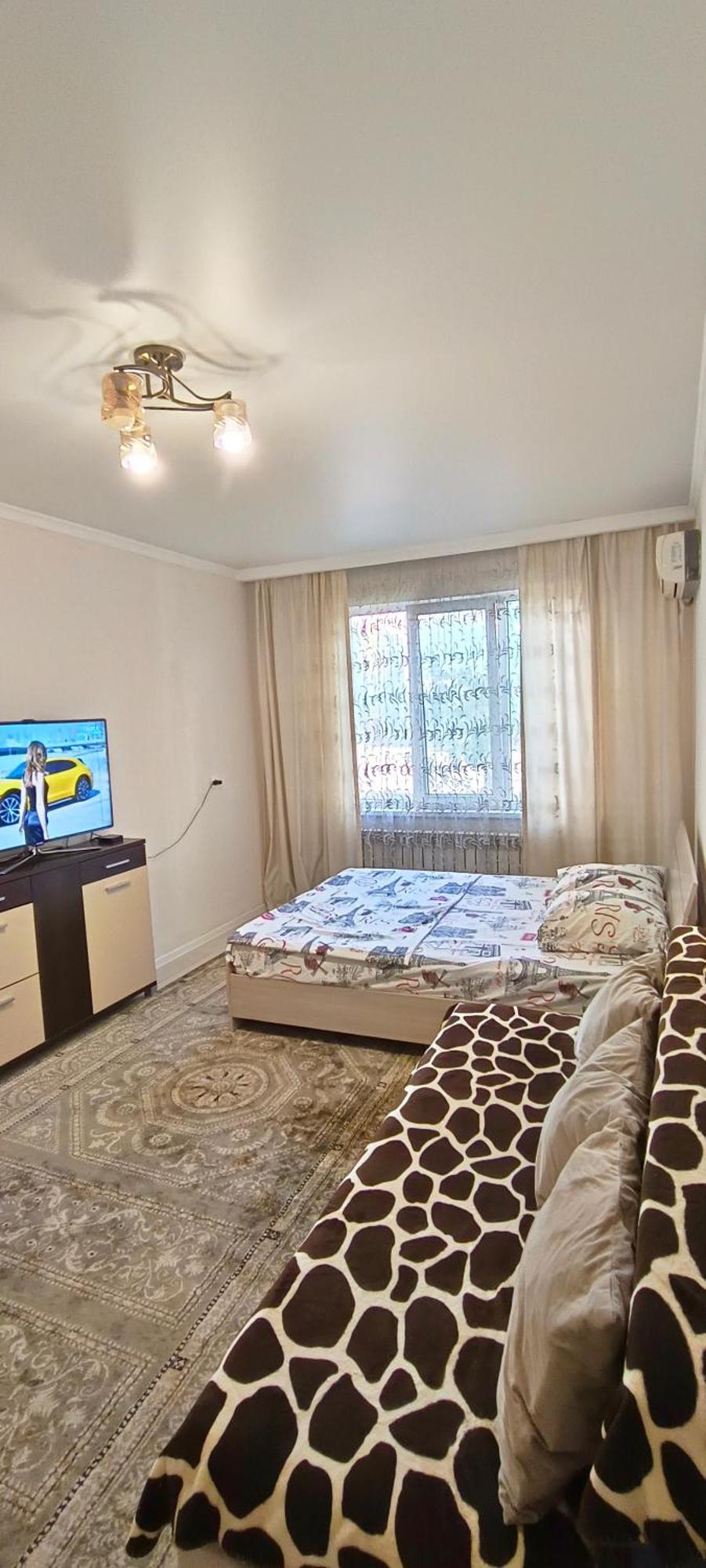 Apartment 2 комнатная 4